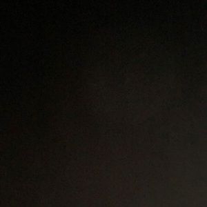 Meet your Posher, Riley